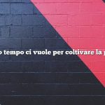 Quanto tempo ci vuole per coltivare la papaia