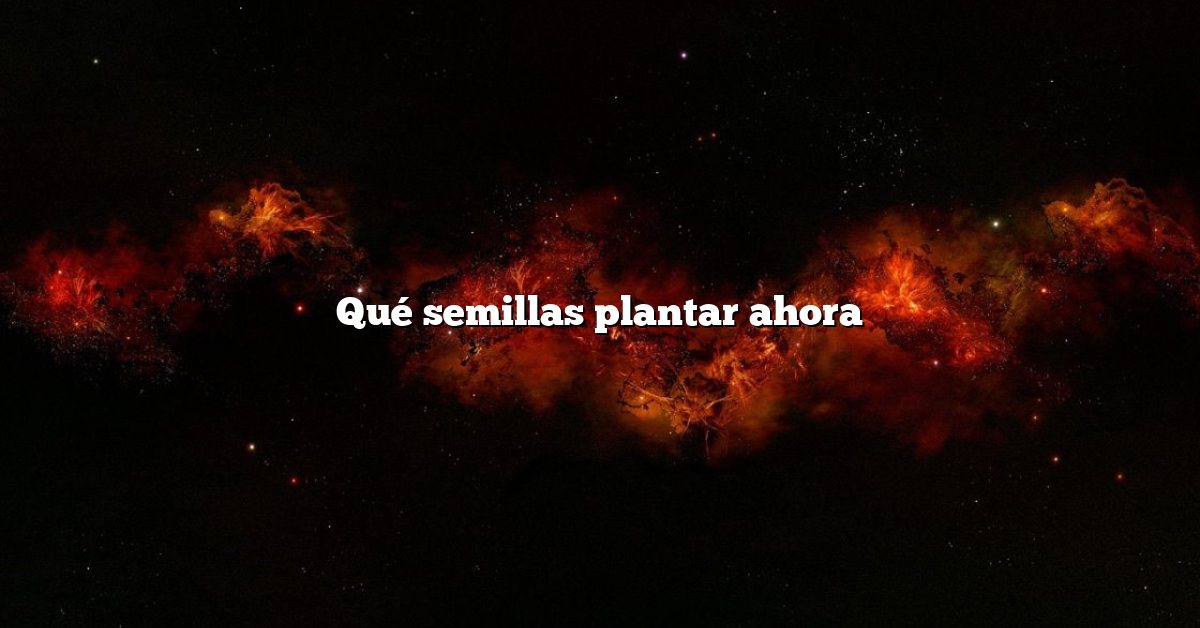 Qué semillas plantar ahora