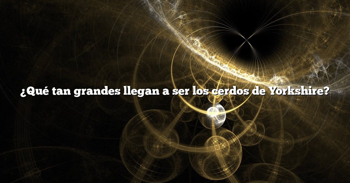 ¿Qué tan grandes llegan a ser los cerdos de Yorkshire?