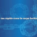 ¿Qué tan rápido crece la carpa herbívora?