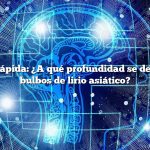 Respuesta rápida: ¿A qué profundidad se deben plantar bulbos de lirio asiático?