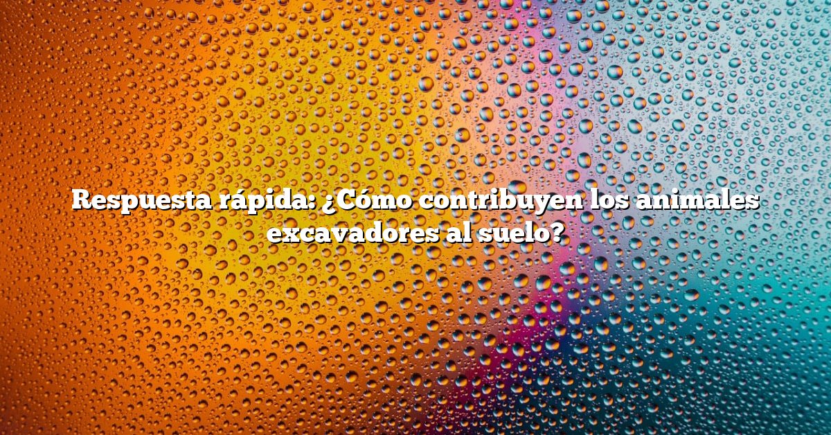 Respuesta rápida: ¿Cómo contribuyen los animales excavadores al suelo?
