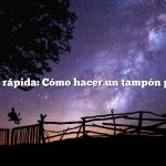 Respuesta rápida: Cómo hacer un tampón para sellos