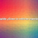 Respuesta rápida: ¿Cómo se cultivan esporas de hongos?