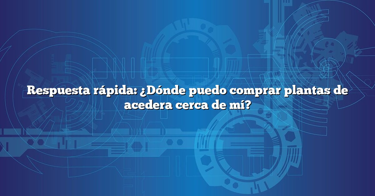 Respuesta rápida: ¿Dónde puedo comprar plantas de acedera cerca de mí?