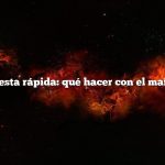 Respuesta rápida: qué hacer con el maíz seco