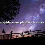Risposta rapida: come piantare la zucca Chayote