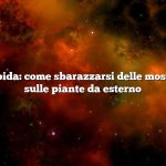 Risposta rapida: come sbarazzarsi delle mosche bianche sulle piante da esterno