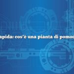 Risposta rapida: cos’è una pianta di pomodoro ibrida