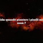 Risposta rapida: quando piantare i piselli autunnali nella zona 7
