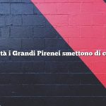 A che età i Grandi Pirenei smettono di crescere