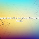 Combien de temps faut-il à un grenadier pour produire des fruits