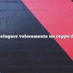 Come asciugare velocemente un ceppo di albero