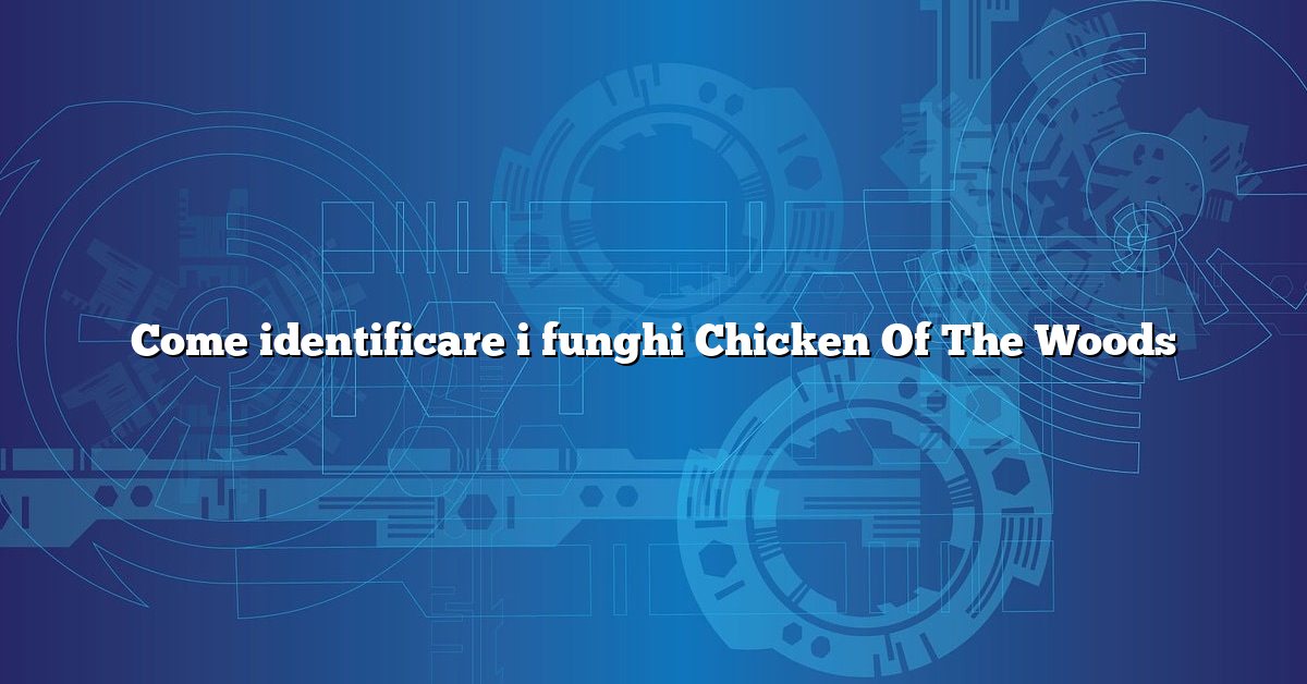 Come identificare i funghi Chicken Of The Woods
