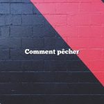 Comment pêcher