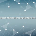 Con qué frecuencia alimentar las plantas con Miracle Grow