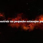 Cómo construir un pequeño estanque para patos