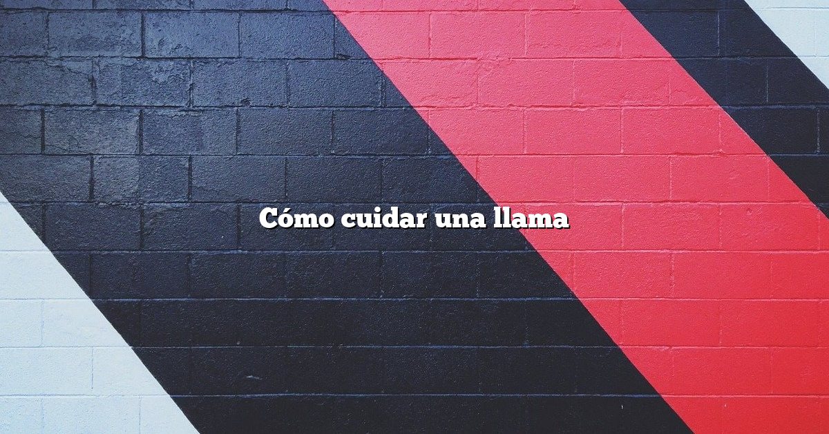 Cómo cuidar una llama