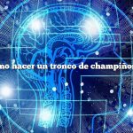 Cómo hacer un tronco de champiñones