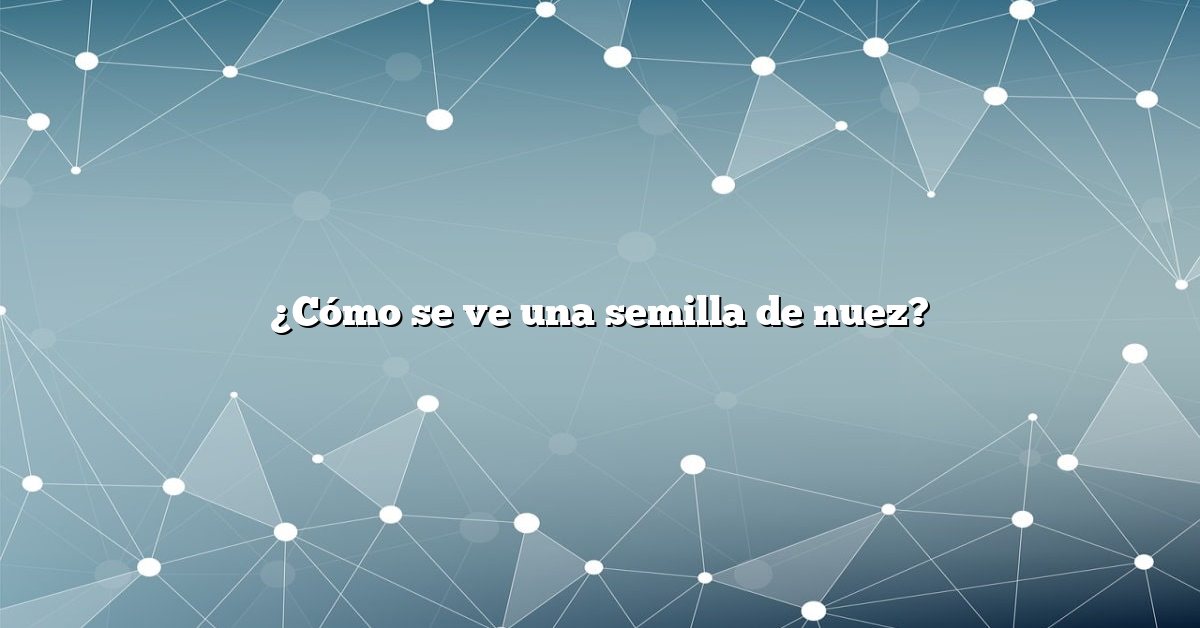 ¿Cómo se ve una semilla de nuez?