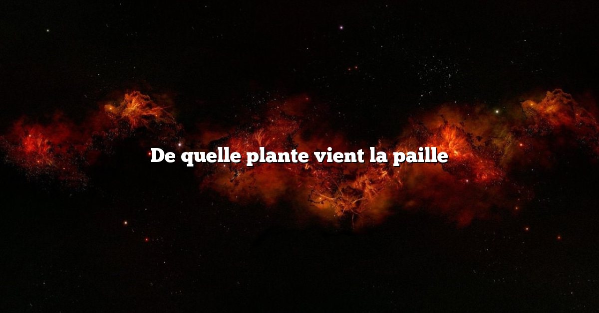 De quelle plante vient la paille