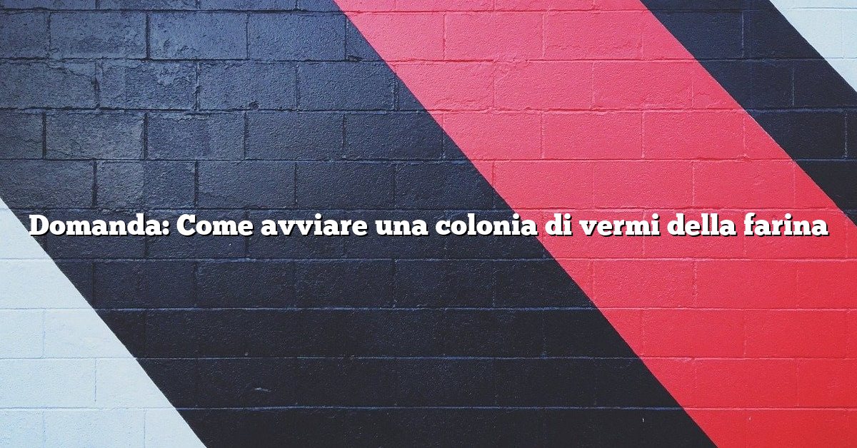 Domanda: Come avviare una colonia di vermi della farina