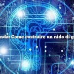 Domanda: Come costruire un nido di galline