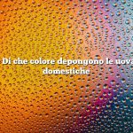 Domanda: Di che colore depongono le uova le anatre domestiche