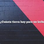 Pregunta: ¿Cuánta tierra hay para un lecho elevado?