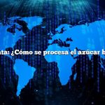 Pregunta: ¿Cómo se procesa el azúcar blanco?