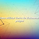 Pregunta: Cómo utilizar tierra de diatomeas para matar pulgas