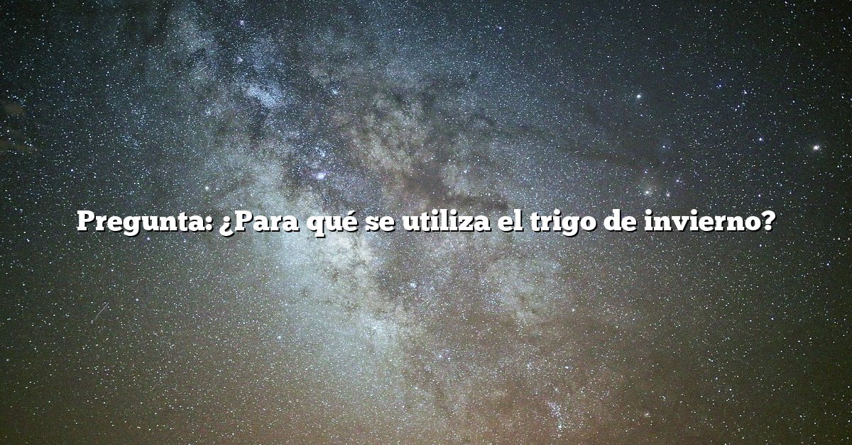 Pregunta: ¿Para qué se utiliza el trigo de invierno?