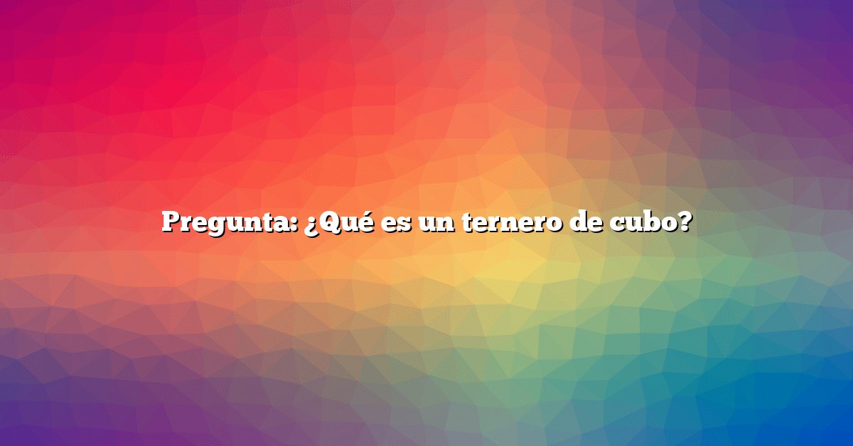 Pregunta: ¿Qué es un ternero de cubo?