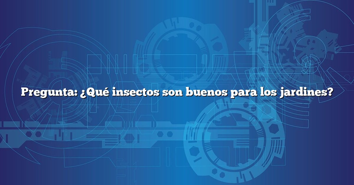 Pregunta: ¿Qué insectos son buenos para los jardines?