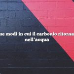 Quali sono i due modi in cui il carbonio ritorna dagli animali nell’acqua