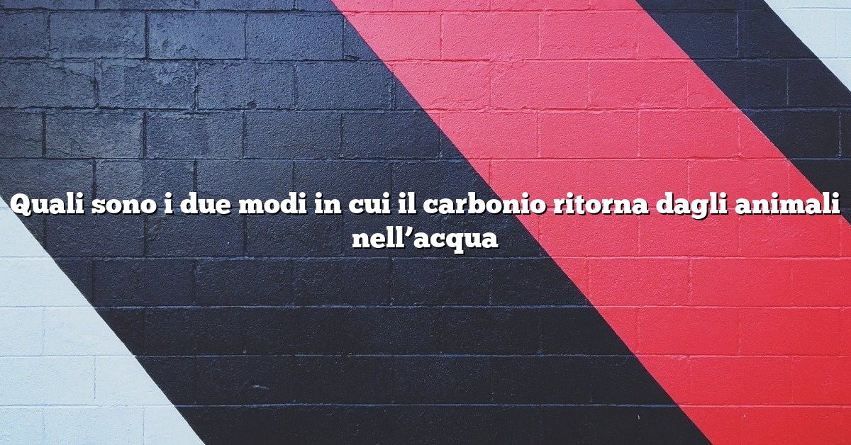 Quali sono i due modi in cui il carbonio ritorna dagli animali nell’acqua