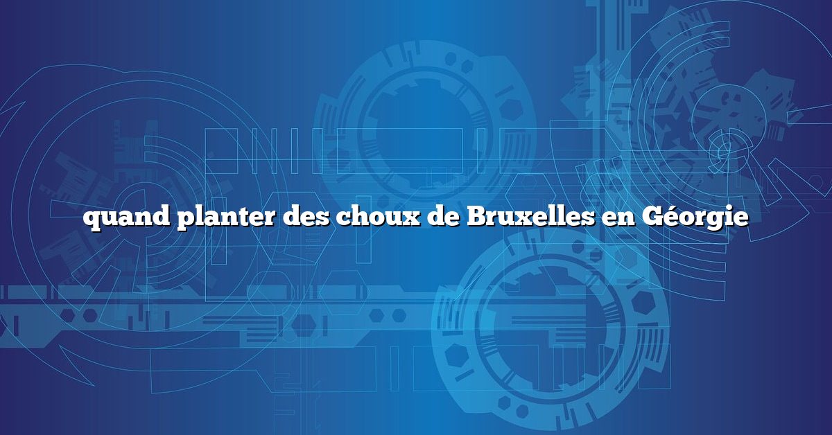 quand planter des choux de Bruxelles en Géorgie