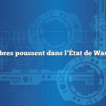 Quels arbres poussent dans l’État de Washington