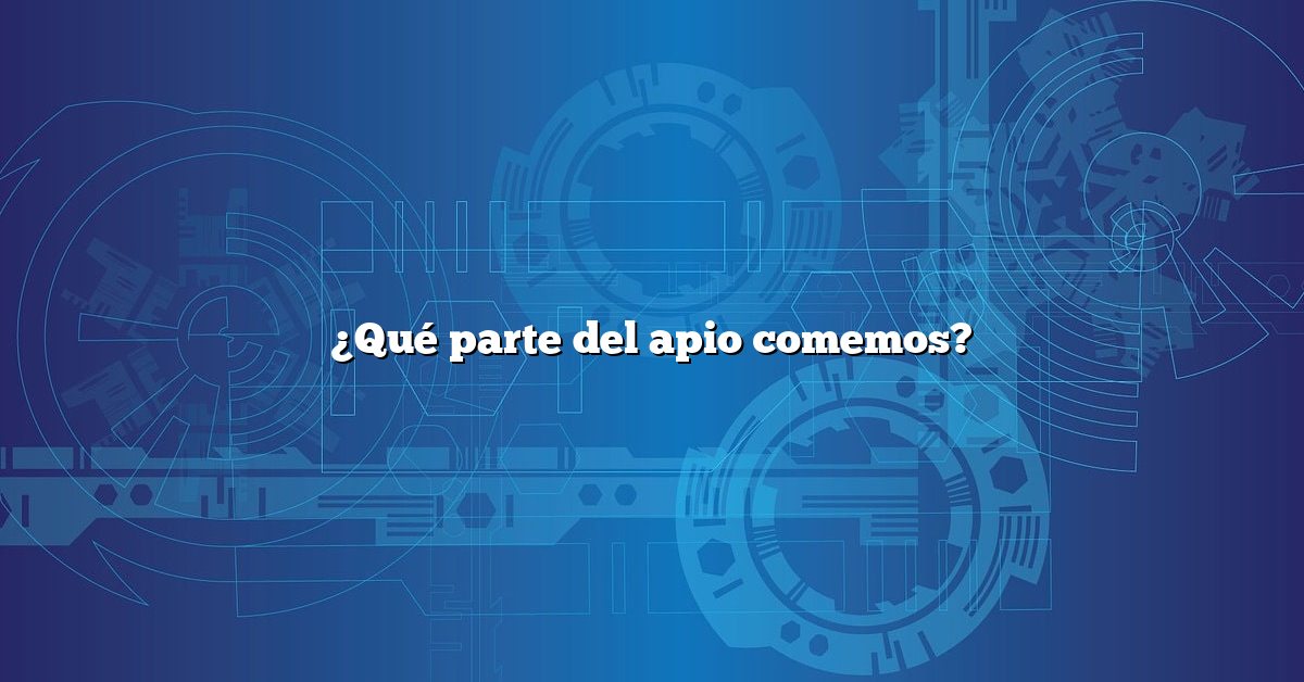 ¿Qué parte del apio comemos?