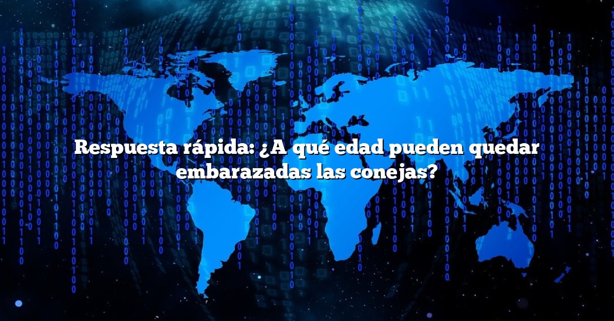 Respuesta rápida: ¿A qué edad pueden quedar embarazadas las conejas?