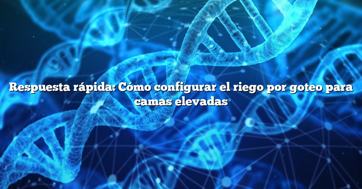 Respuesta rápida: Cómo configurar el riego por goteo para camas elevadas