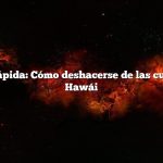 Respuesta rápida: Cómo deshacerse de las cucarachas en Hawái