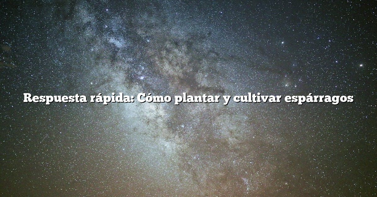 Respuesta rápida: Cómo plantar y cultivar espárragos