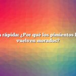 Respuesta rápida: ¿Por qué los pimientos banana se vuelven morados?