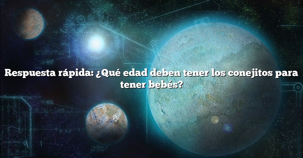 Respuesta rápida: ¿Qué edad deben tener los conejitos para tener bebés?