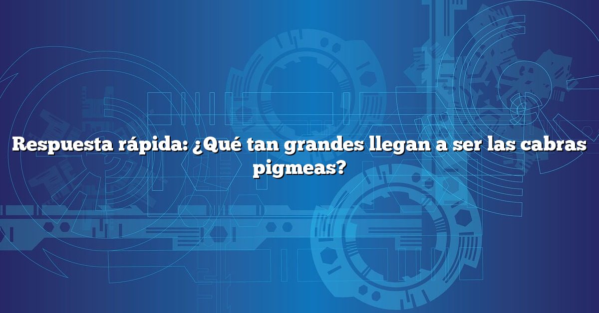 Respuesta rápida: ¿Qué tan grandes llegan a ser las cabras pigmeas?
