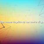 Risposta rapida: come capire se un uovo di gallina è buono