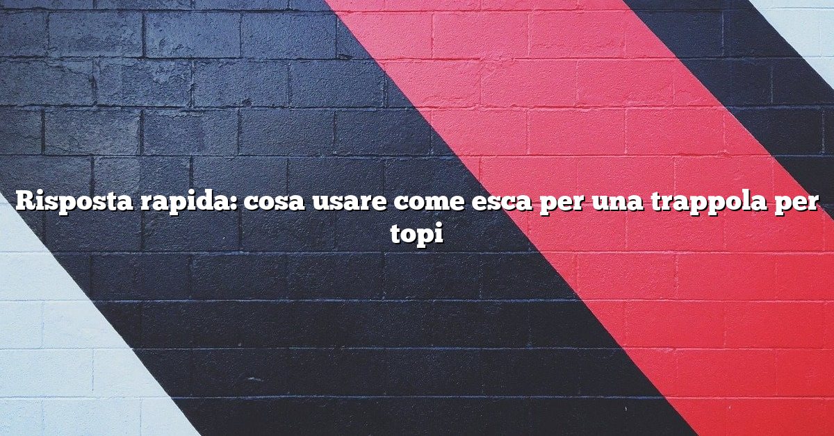 Risposta rapida: cosa usare come esca per una trappola per topi