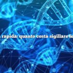 Risposta rapida: quanto costa sigillare le finestre