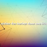 comment sécher des herbes dans une friteuse à air